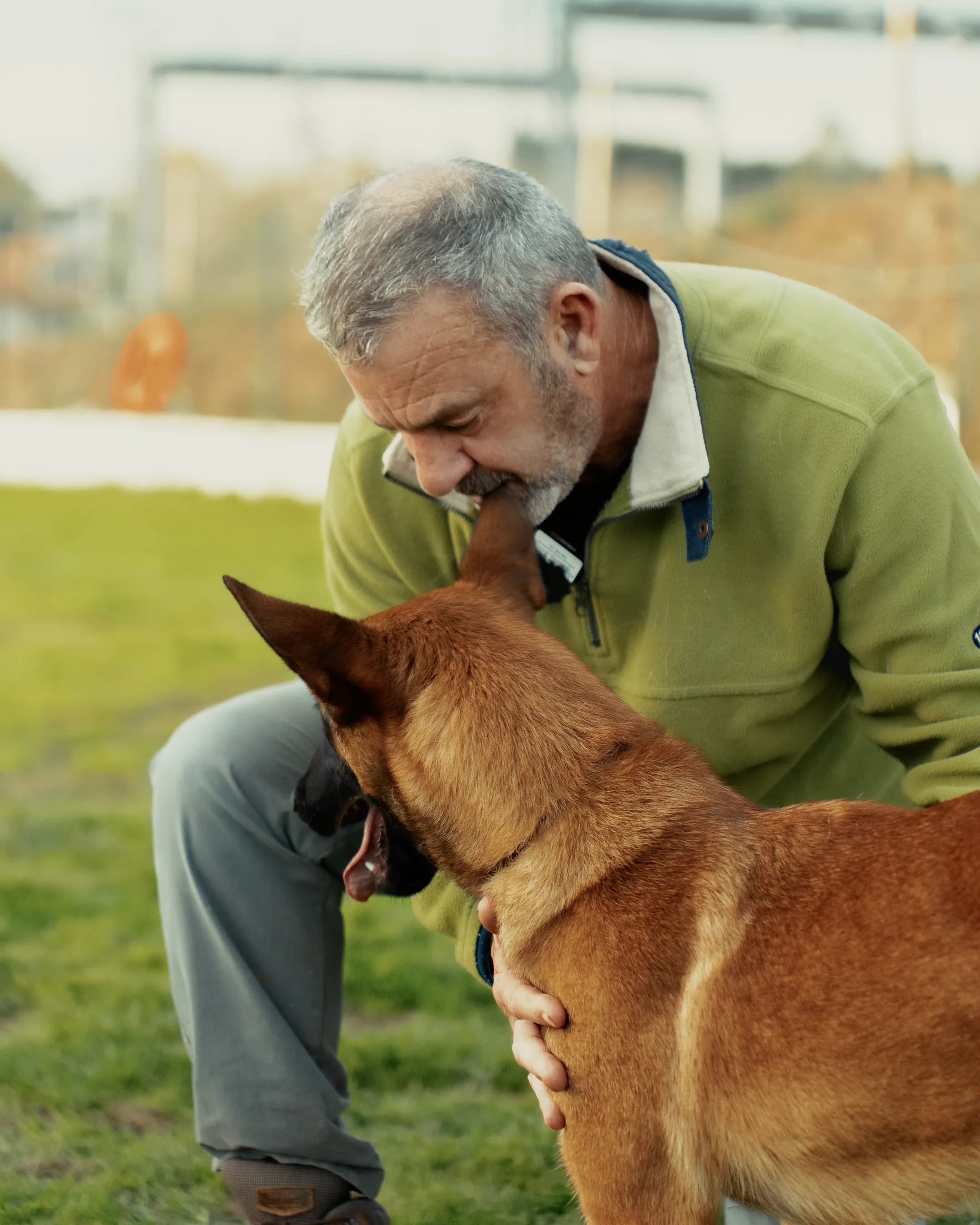 Cuidados essenciais para o bem-estar de cães